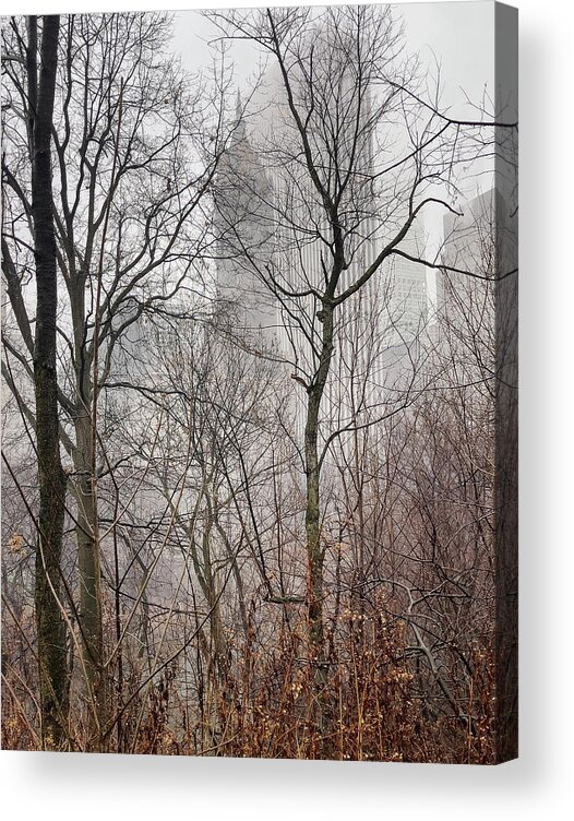 Central Park Acrylic Print featuring the photograph Urban Winter Scene by Cate Franklyn
