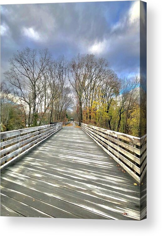 Path Acrylic Print featuring the photograph Walk in Nature by Lisa Pearlman