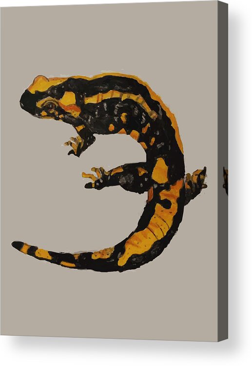 Fire Salamander Acrylic Print featuring the drawing Watercolor drawing of a fire salamander by Mounir Khalfouf