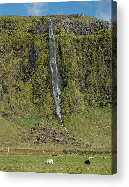Nature Acrylic Print featuring the photograph Waterfall From Ring Road in Southern Iceland by Kristia Adams