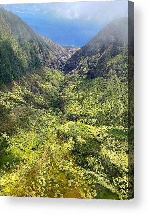 Photograph Acrylic Print featuring the photograph West Maui Forest Reserve by Beverly Read
