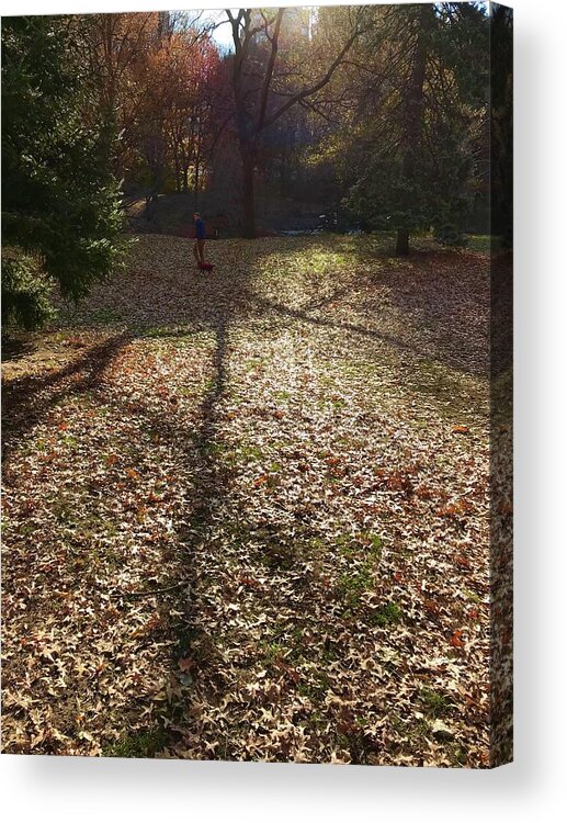  Acrylic Print featuring the photograph Whispering Shadows by Judy Frisk