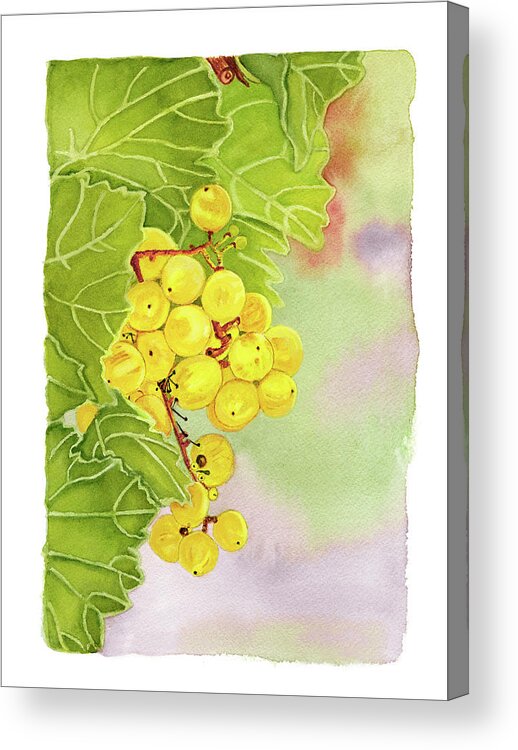 Grapes Acrylic Print featuring the painting White Italian Grapes On The Vine by Deborah League