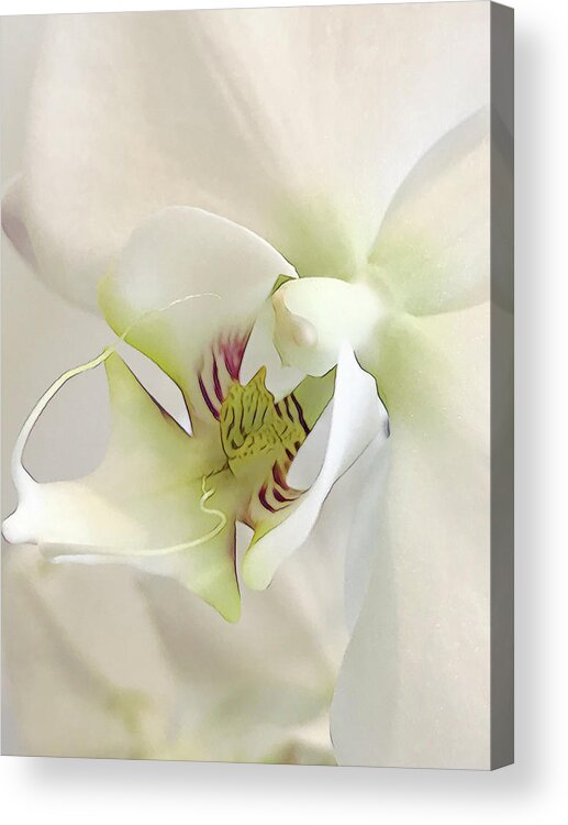  Acrylic Print featuring the digital art White Orchid by Cindy Greenstein
