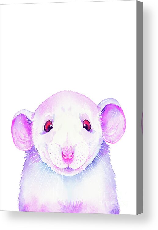White Rat Acrylic Print featuring the painting White Rat Peekaboo by Zaira Dzhaubaeva