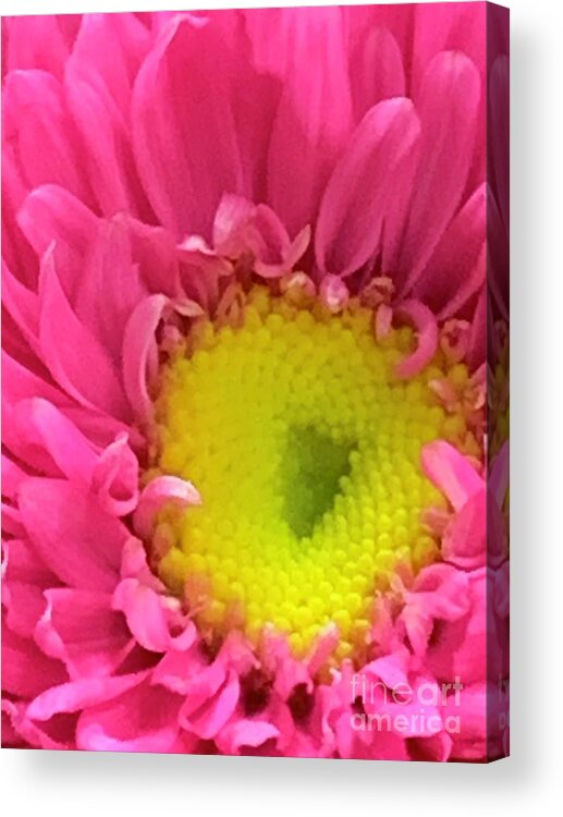 Love Acrylic Print featuring the photograph With Love....from Jesus by Tiesa Wesen