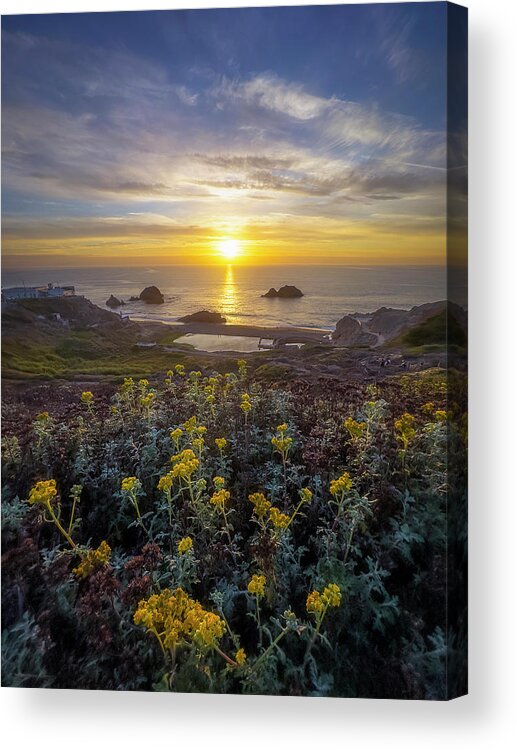 Spring Acrylic Print featuring the photograph Yellow by Louis Raphael