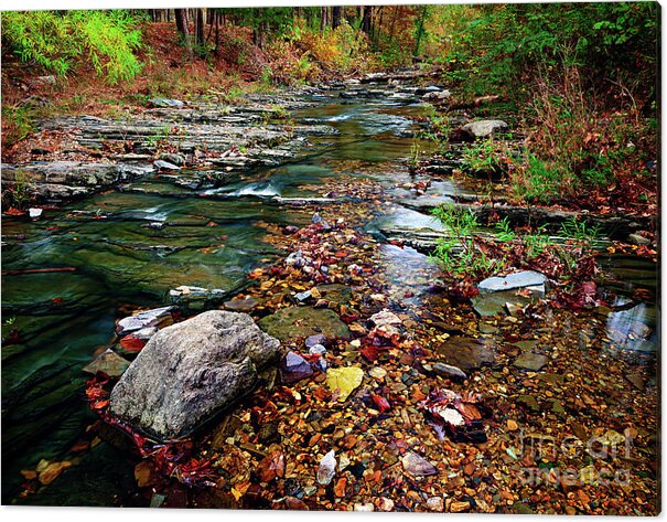 Landscape Acrylic Print featuring the photograph Beaver's Bend Tiny Stream by Tamyra Ayles