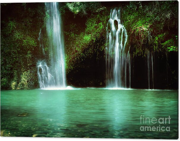 Tree Acrylic Print featuring the photograph Dripping Springs in the Afternoon by Tamyra Ayles