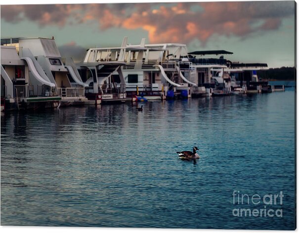 Water Acrylic Print featuring the photograph Lake Murray Morning at the Marina by Tamyra Ayles