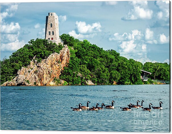 Water Acrylic Print featuring the photograph Lake Murray's Gaggle of Geese by Tamyra Ayles