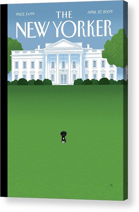 Obama Acrylic Print featuring the painting Bo by Bob Staake