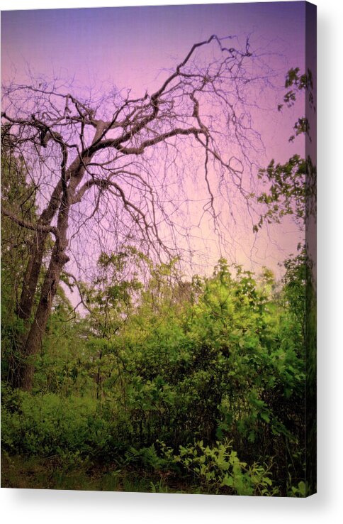 Sky Acrylic Print featuring the photograph After The Rain by Jim Whalen