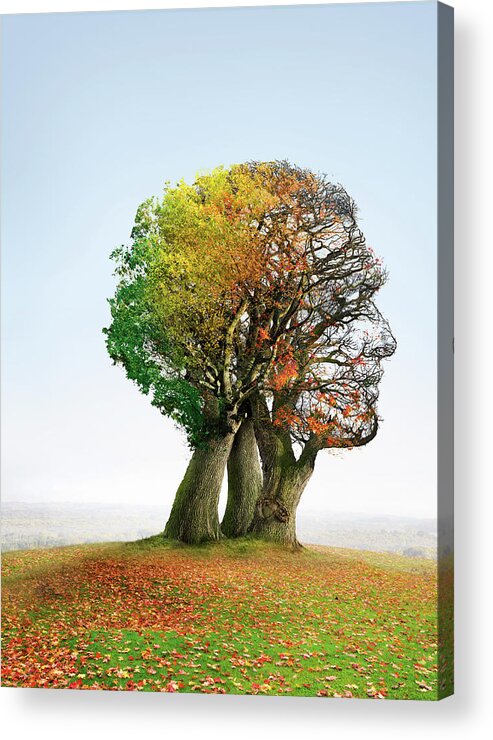 Tree Acrylic Print featuring the photograph Ageing by Smetek