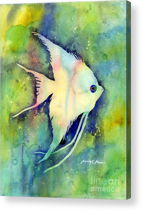 Fish Acrylic Print featuring the painting Angelfish I by Hailey E Herrera
