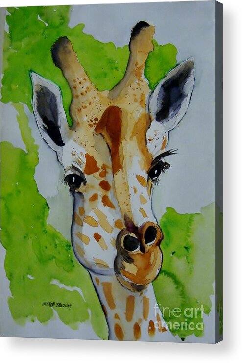 Giraffes Acrylic Print featuring the painting Baby Giraffe by Marcia Breznay