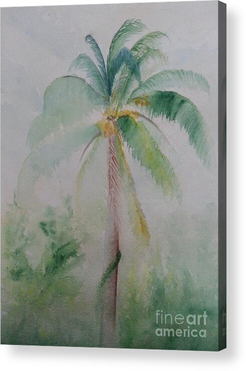 Plein Air Coconut Tree Acrylic Print featuring the painting Backyard Coconut Tree by Jerome Wilson