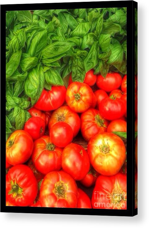 Basil Acrylic Print featuring the photograph Basil Tomato by Susan Garren