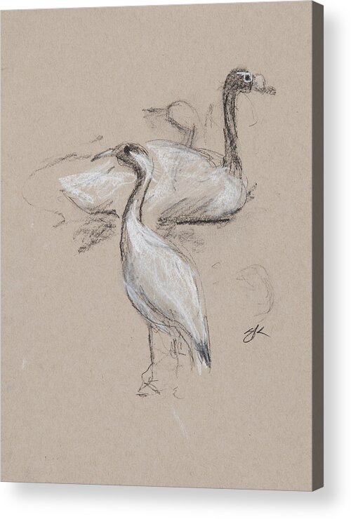  Acrylic Print featuring the drawing Birds Charcoal Study by Greg Kopriva