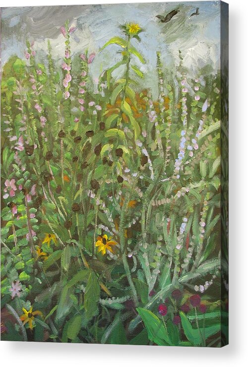 Garden Acrylic Print featuring the painting Black Seed Song by Don Morgan