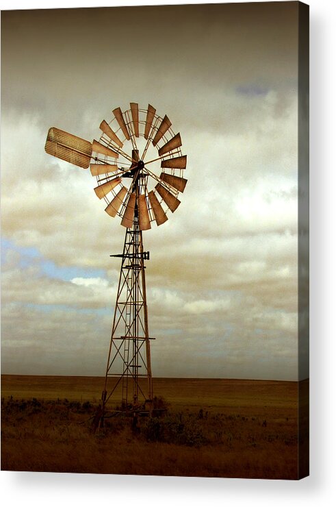 #faatoppicks Acrylic Print featuring the photograph Catch the Wind by Holly Kempe