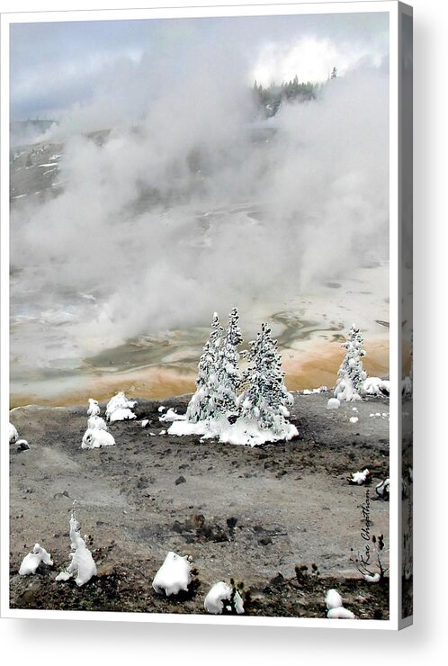 Hoarfrost On Trees Acrylic Print featuring the photograph Norris Geyser Basin Cold and Hot Trees by Kae Cheatham