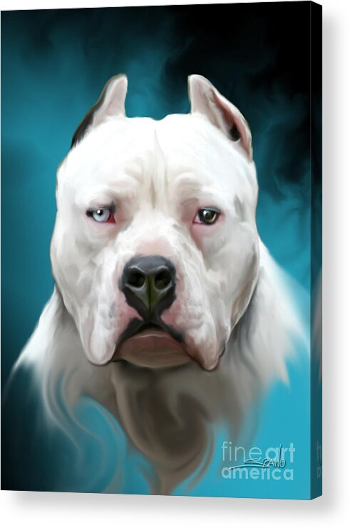 Spano Acrylic Print featuring the painting Cold as Ice- Pit Bull by Spano by Michael Spano