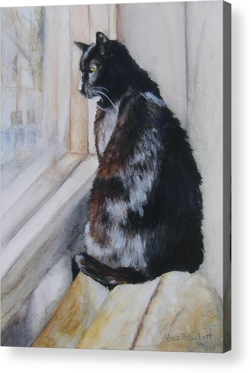 Cat Acrylic Print featuring the drawing Couch Potato by Lori Brackett