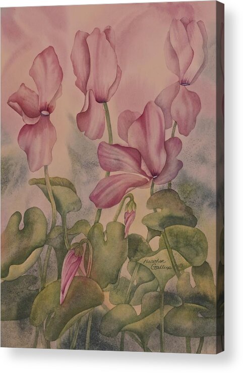 Cyclamen Acrylic Print featuring the painting Cyclamen by Heather Gallup