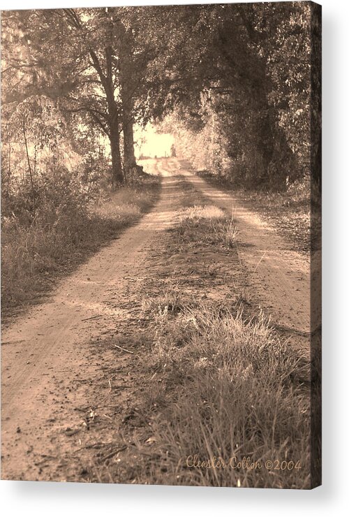 Dirt Road Acrylic Print featuring the photograph Dirt Road Moultrie Georgia by Cleaster Cotton
