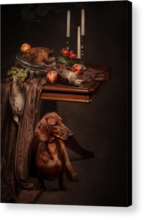 Still Life Acrylic Print featuring the photograph Dog under the table by Tanya Kozlovsky