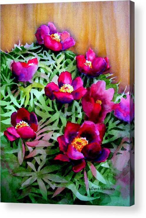 Peony Acrylic Print featuring the painting Early Scout by Barbara Parisien