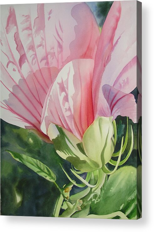 Watercolor Acrylic Print featuring the painting Eastern Light by Marlene Gremillion