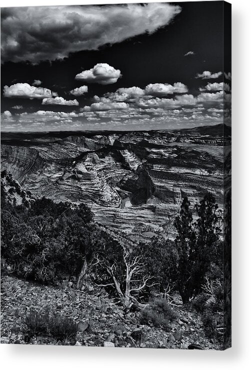 Colorado Acrylic Print featuring the photograph Echo Park from the Ridge Black and White by Joshua House