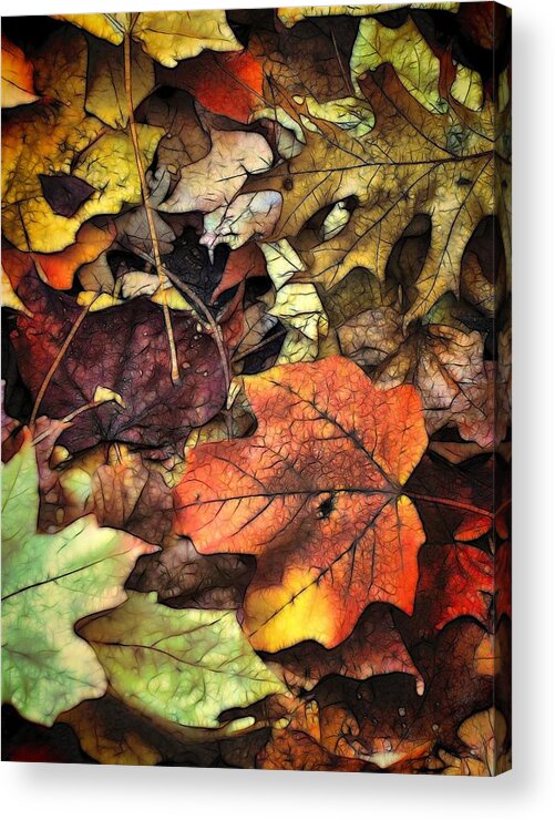 Leaf Acrylic Print featuring the photograph Fall Colors by Lyle Hatch