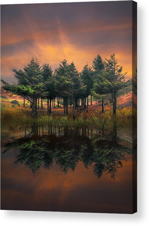 Appalachia Acrylic Print featuring the photograph Fire by Debra and Dave Vanderlaan