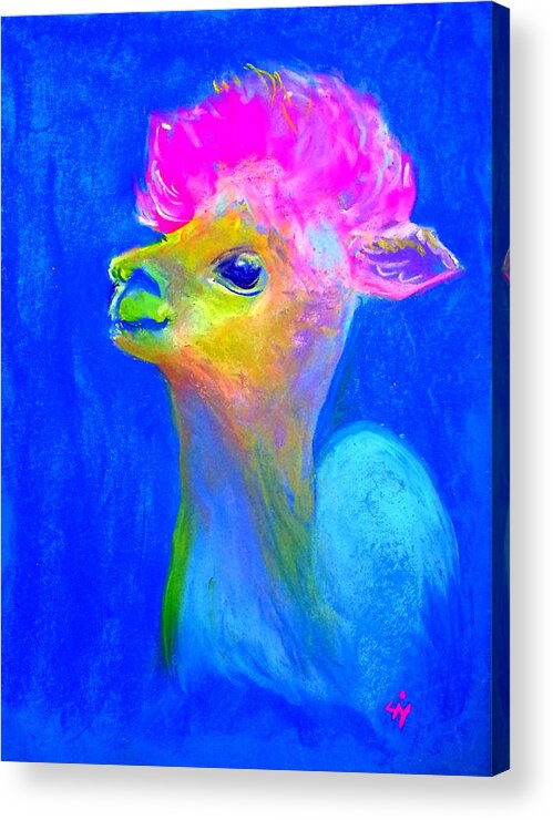 Alpaca Acrylic Print featuring the painting Funky Baby Alpaca by Sue Jacobi