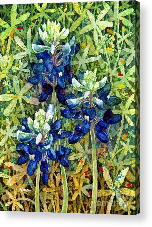 Bluebonnet Acrylic Print featuring the painting Garden Jewels I by Hailey E Herrera