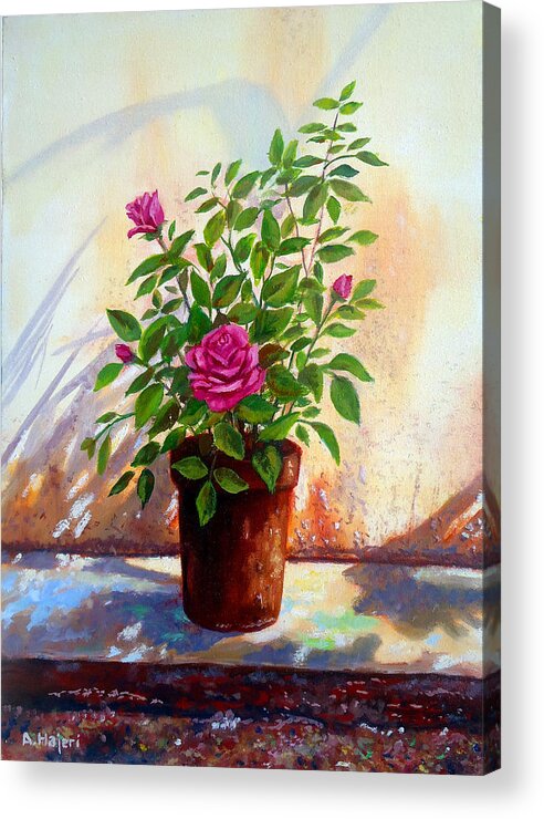 Pink Roses Acrylic Print featuring the painting Garden Roses by Amani Al Hajeri