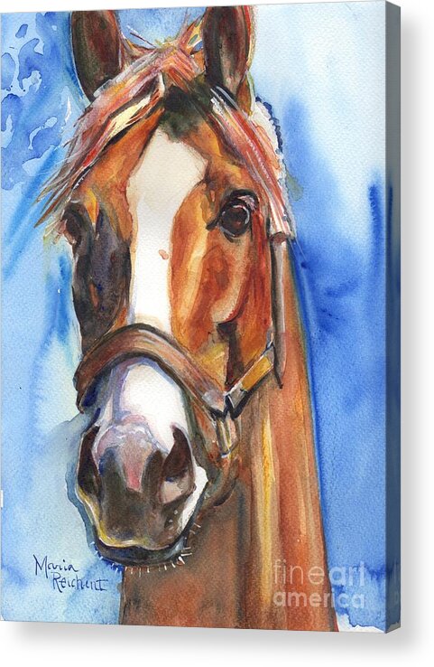 California Chrome Acrylic Print featuring the painting Horse Painting of California Chrome Go Chrome by Maria Reichert