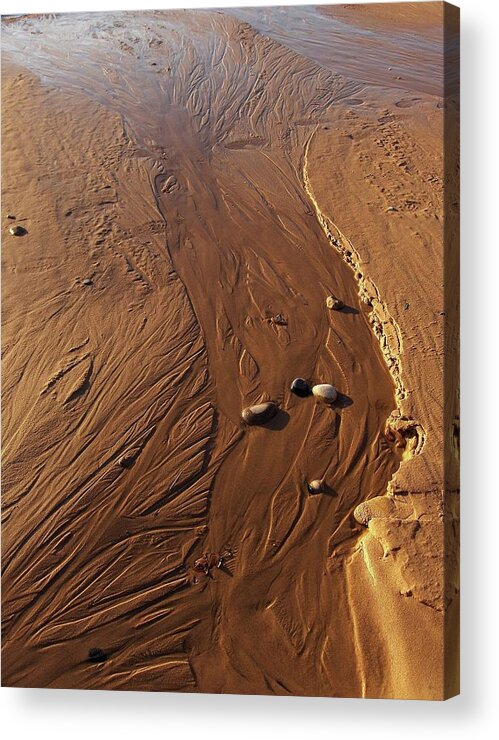 Stream Acrylic Print featuring the photograph Golden Sand Streams by Kathi Mirto