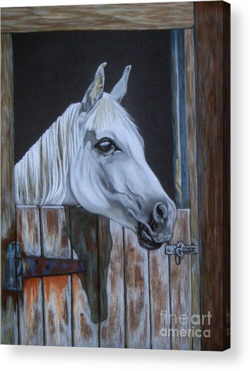 Grace At The Stable Door Acrylic Print featuring the painting Grace at the stable door by Yvonne Johnstone