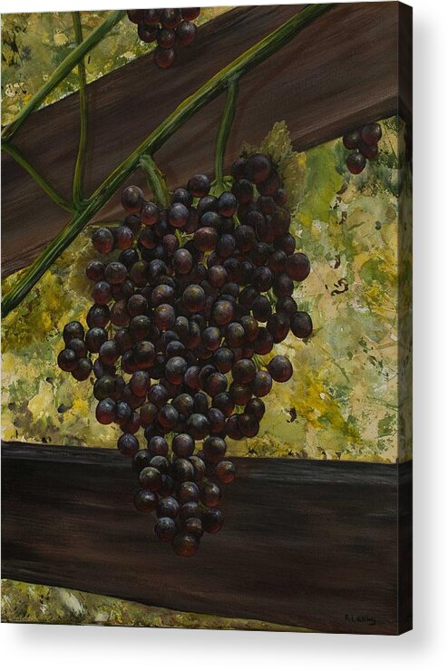 Grapes Acrylic Print featuring the painting Grapes on the Vine by Nancy Lauby