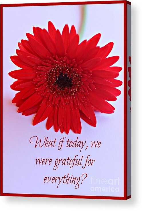 Images With Quotes Acrylic Print featuring the photograph Grateful by Clare Bevan