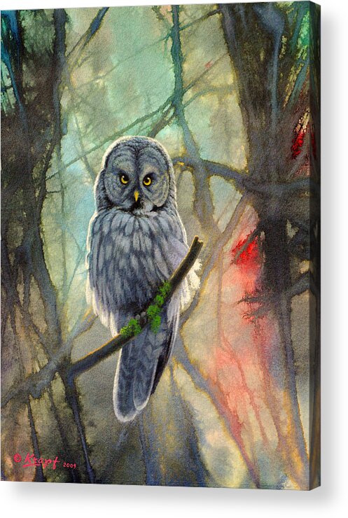 Wildlife Acrylic Print featuring the painting Great Grey Owl in Abstract by Paul Krapf