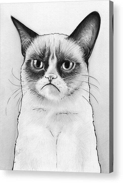 Grumpy Cat Acrylic Print featuring the drawing Grumpy Cat Portrait by Olga Shvartsur