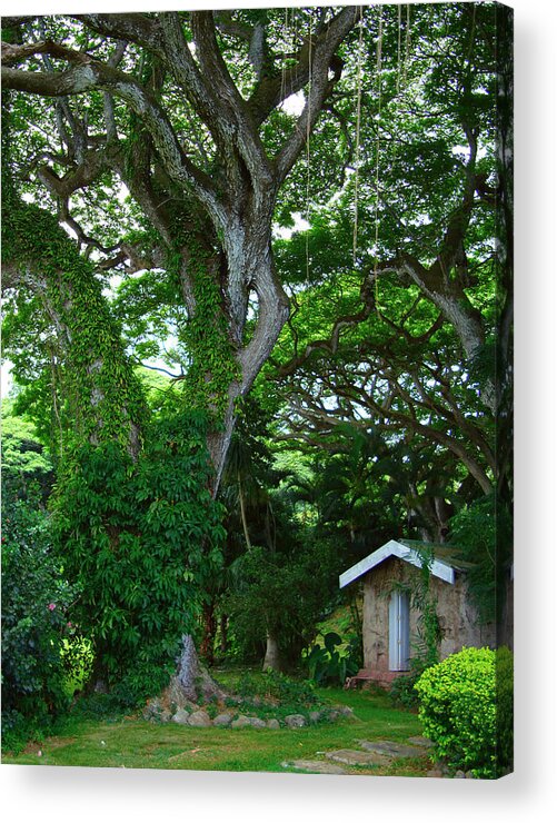 Tree Acrylic Print featuring the photograph Hidden Cottage by Kara Stewart
