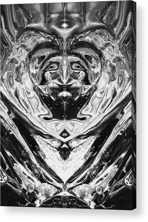 Abstract Acrylic Print featuring the photograph Iceman Cometh by John Bartosik