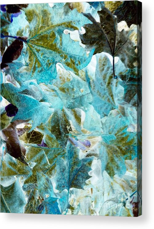 Photograph Landscape Inverted Fall Leaves. Photo Prints Acrylic Print featuring the photograph Inverted Fall Leaves by Gayle Price Thomas