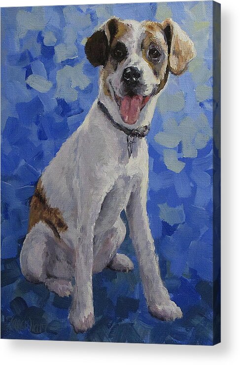 Dog Acrylic Print featuring the painting Jackaroo - A pet portrait by Karen Ilari